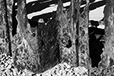 What Remains 43